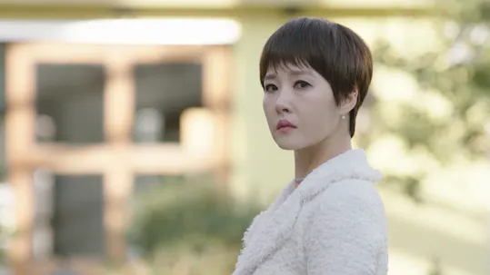 The Lady in Dignity Teaser 1