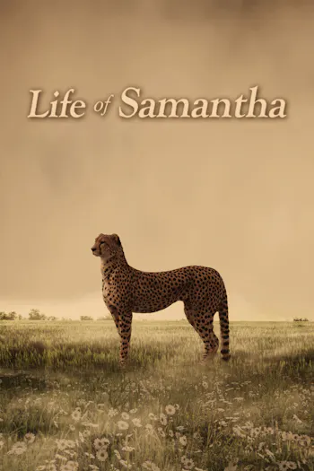 Life of Samantha