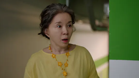 Beauty and Mr. Romantic Episode 29
