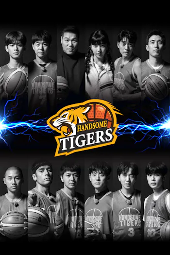 Handsome Tigers