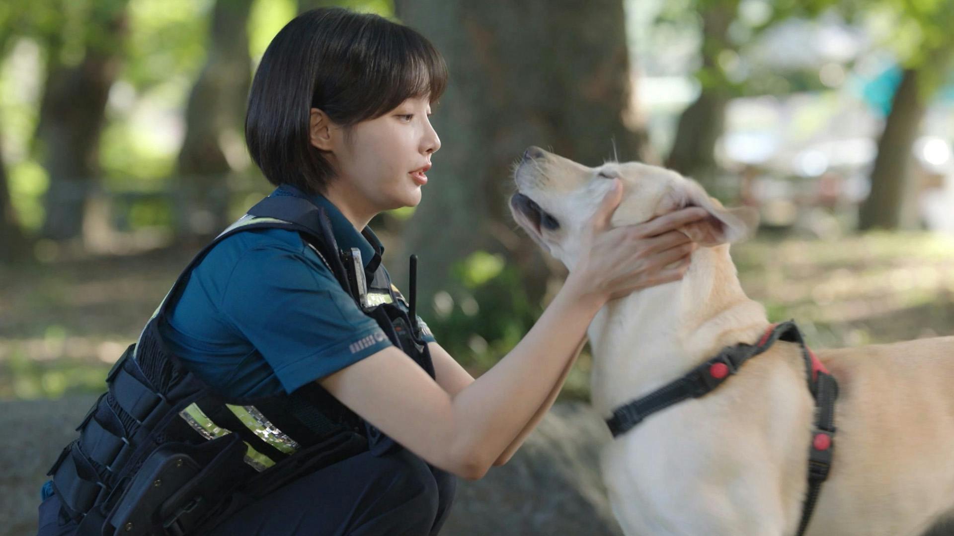 Dog Knows Everything | Watch Korean Series Online - KOCOWA+