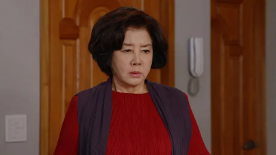 My Wonderful Life Episode 100