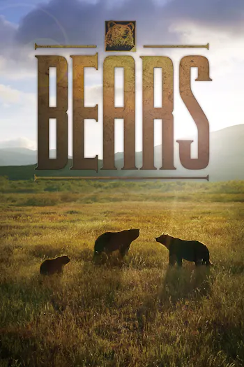 Bears