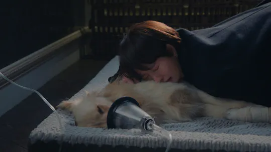 Should We Kiss First Episode 13