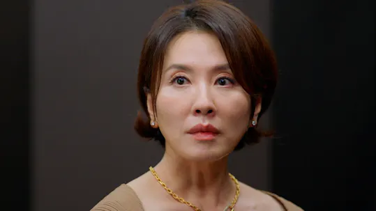 A Graceful Liar Teaser 2