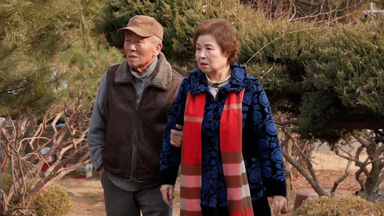 My Little Old Boy Episode 437