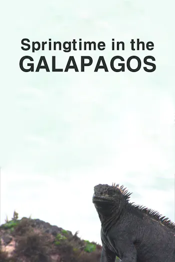Springtime in the Galapagos