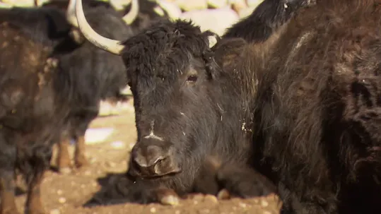 Pamir, Land of Secrets Episode 3