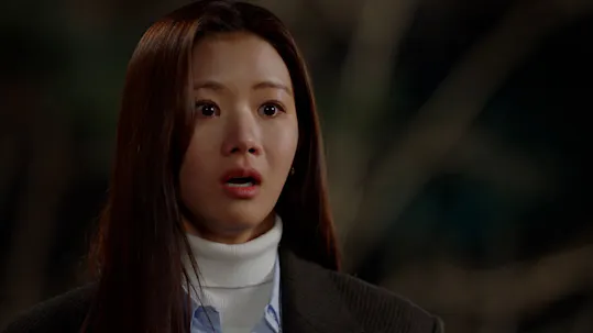 Young Lady and Gentleman Episode 41