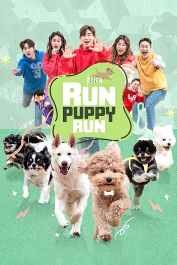Run Puppy Run