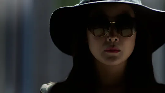 The Lady in Dignity Teaser 2