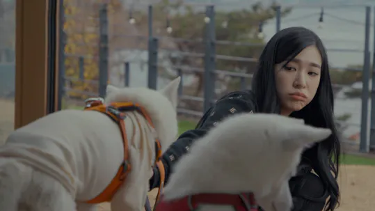 The Dog I Encountered Episode 2