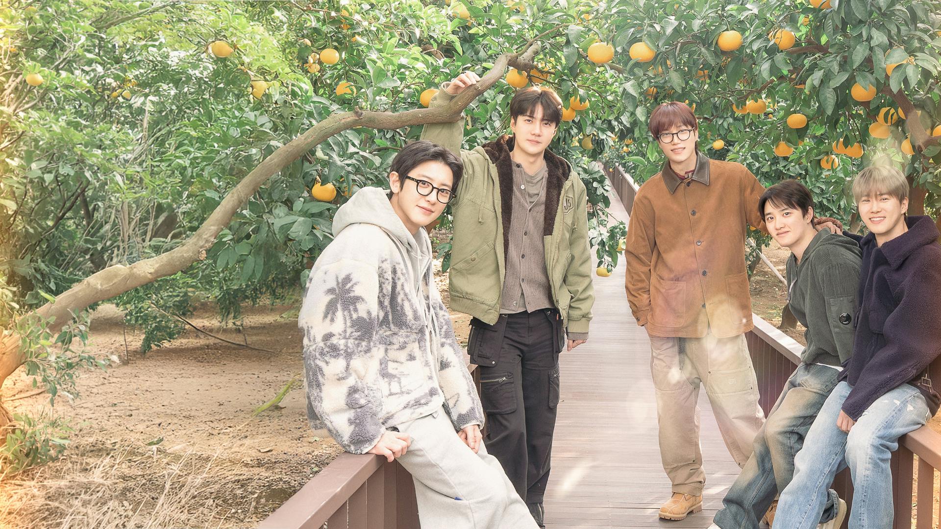 EXO's Travel the World on a Ladder Temporada 5 | Assista a séries
