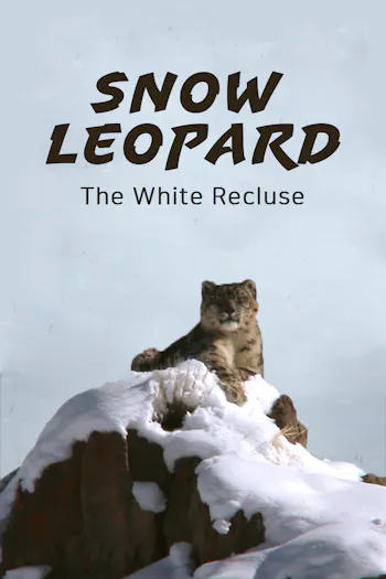 Snow Leopard, The White Recluse