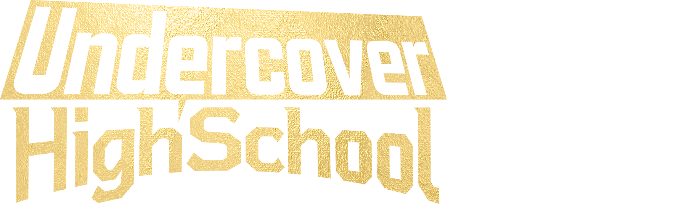 Undercover High School