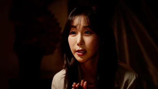 The All-Round Wife Teaser 1