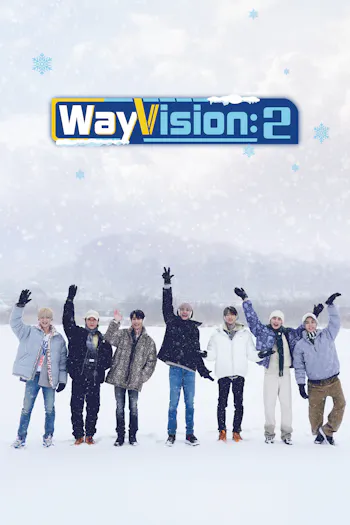 WayVision 2