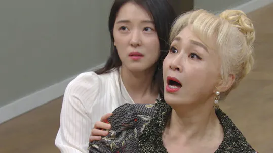 Beautiful Love, Wonderful Life Episode 81
