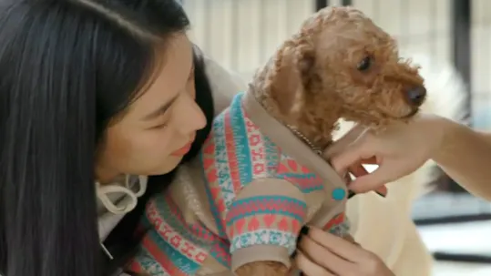 The Dog I Encountered Teaser 1