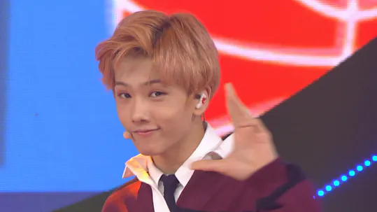 SBS Inkigayo Episode 973