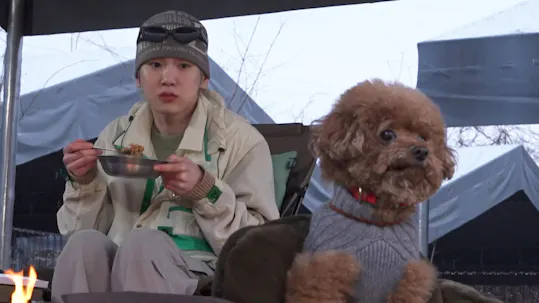 Home Alone Episode 537