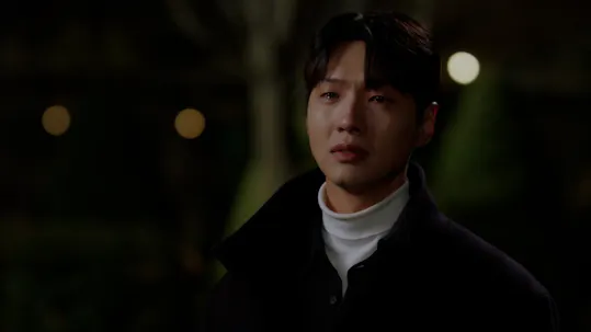 Young Lady and Gentleman Episode 27