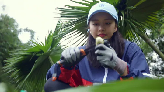 Law of the Jungle | Watch Korean Series Online - KOCOWA+